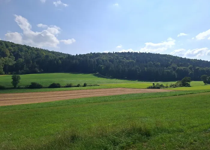 Appartement Geyer - Neu! Mit Fasssauna - Altmuehltal