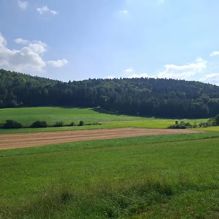 Апартаменты Geyer - Neu! Mit Fasssauna Und Aussendusche - Altmuehltal